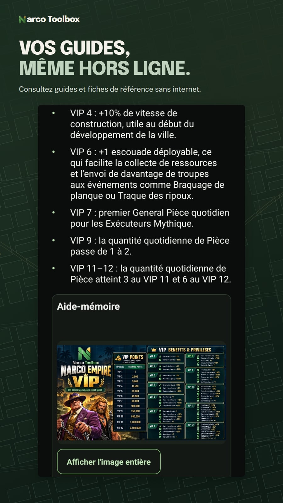 Guide VIP en français avec paliers de progression et fiche originale en anglais.
